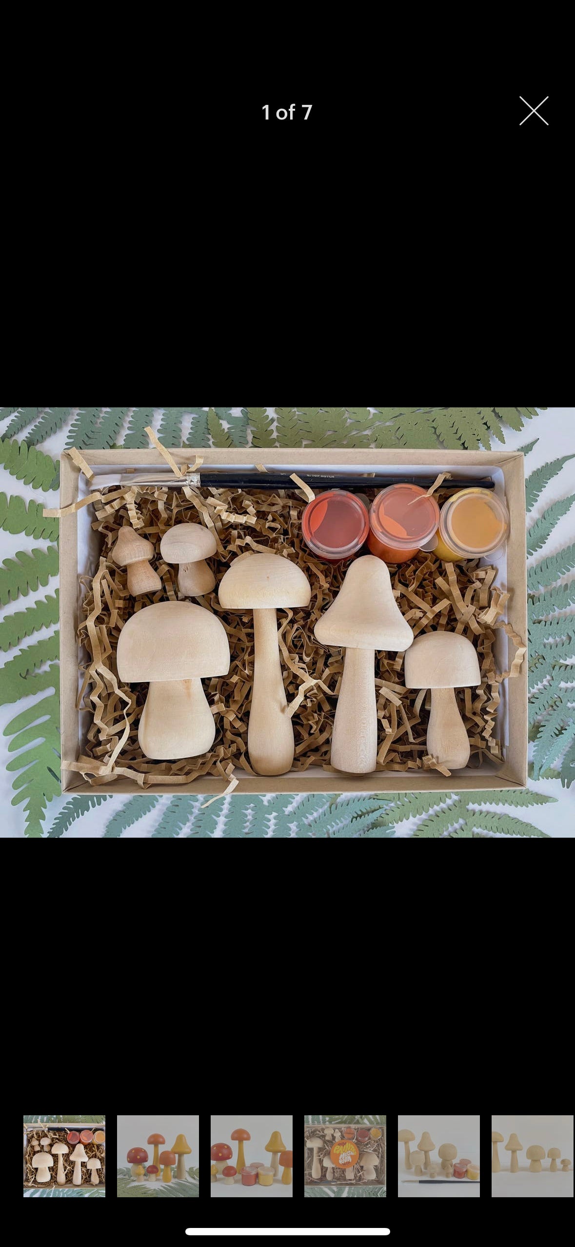 Mushroom Painting kit