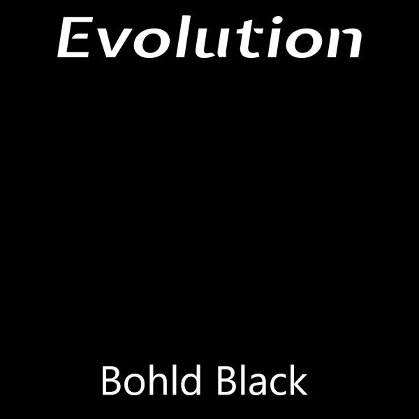 Farmhouse Evolution Paint Bohld Black