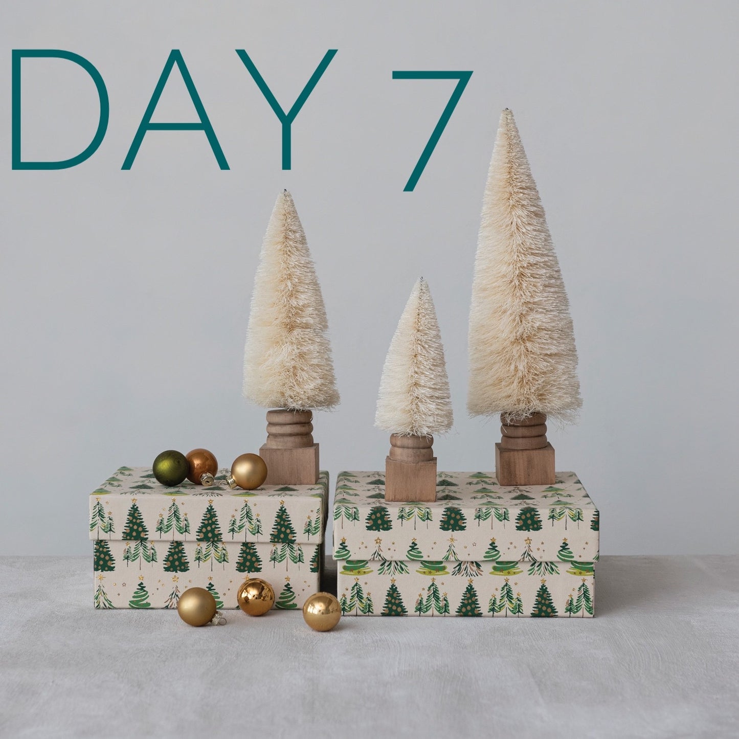Day 7 of The 12 Days of Christmas Bottle Brush Ivory Trees