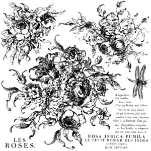 Iron Orchid Designs Rose Toile 12x12 IOD Decor Stamp™