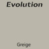 Farmhouse Evolution Paint Greige