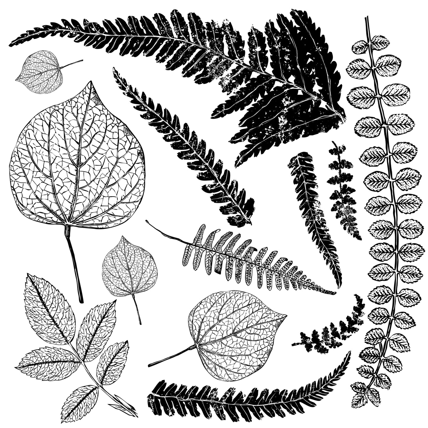 Iron Orchid Designs Frond 12×12 IOD DECOR STAMP