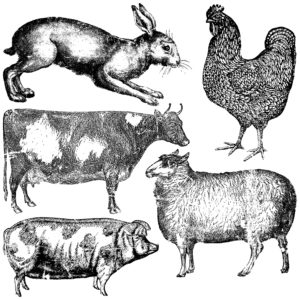 Iron Orchid Designs Farm Animals 12x12 IOD Decor Stamp™