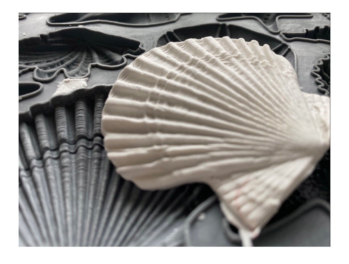 SEASHELL 6x10 Iron Orchid Design MOULDS