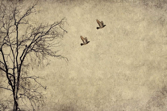 Flying Birds Decoupage Paper