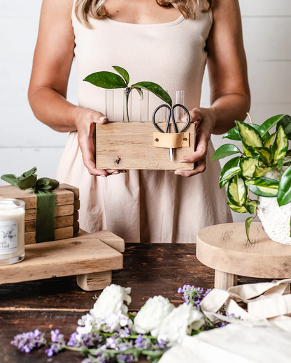 Propagation Station