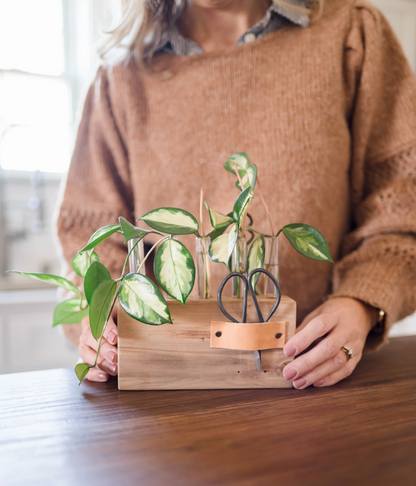 Propagation Station