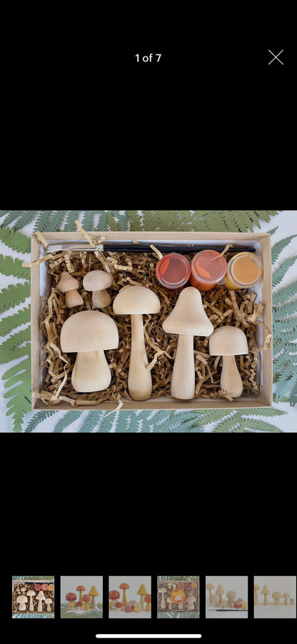 Mushroom Painting kit