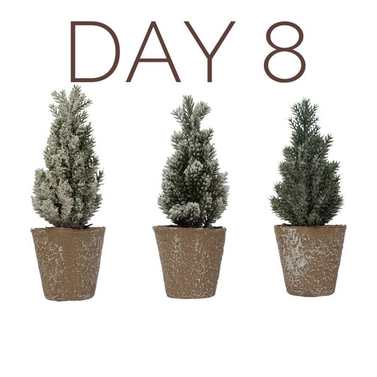 Day 8 of The 12 Days of Christmas Mini Trees in peat pots