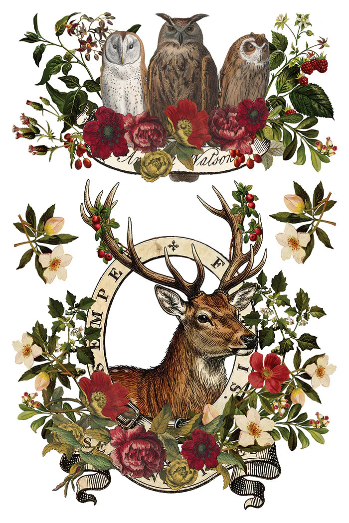 IOD Transfer 8 x 12 pad Stag Tavern
