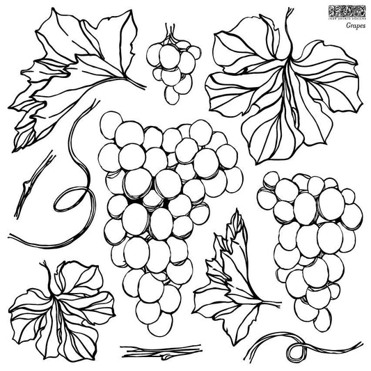 Iron Orchid Designs GRAPES 12×12 IOD STAMP