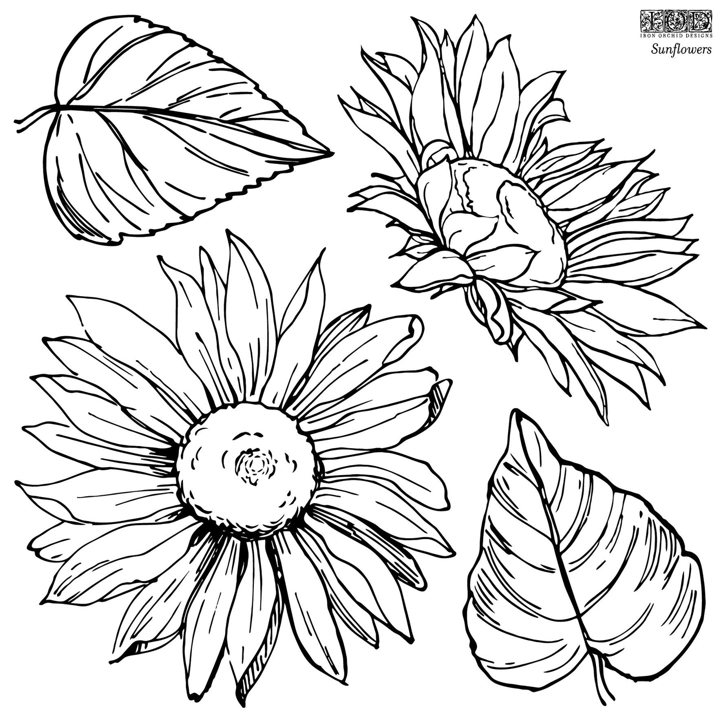 Iron Orchid Designs SUNFLOWERS 12×12 IOD STAMP