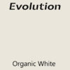 Farmhouse Evolution Paint Organic White