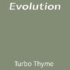 Farmhouse Evolution Paint Turbo Thyme